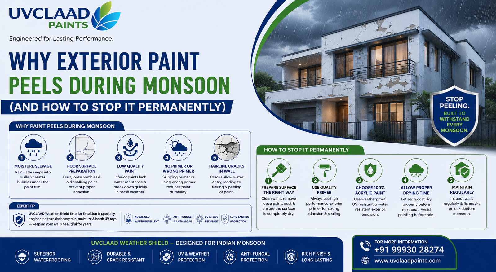 mansoon paint